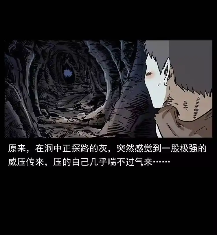 幽冥诡匠_h 386 本少爷也是仙家 第38页
