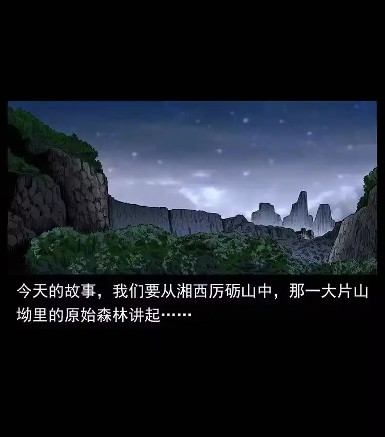 幽冥诡匠_h 389 迷障 第2页