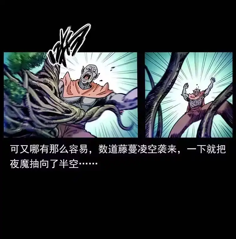 幽冥诡匠_h 389 迷障 第53页