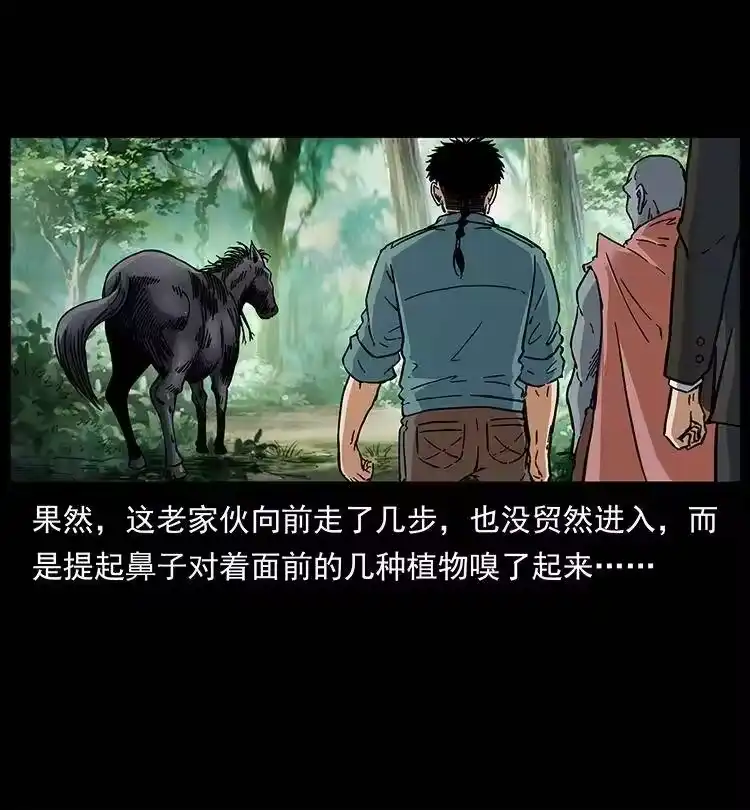 幽冥诡匠_h 389 迷障 第66页