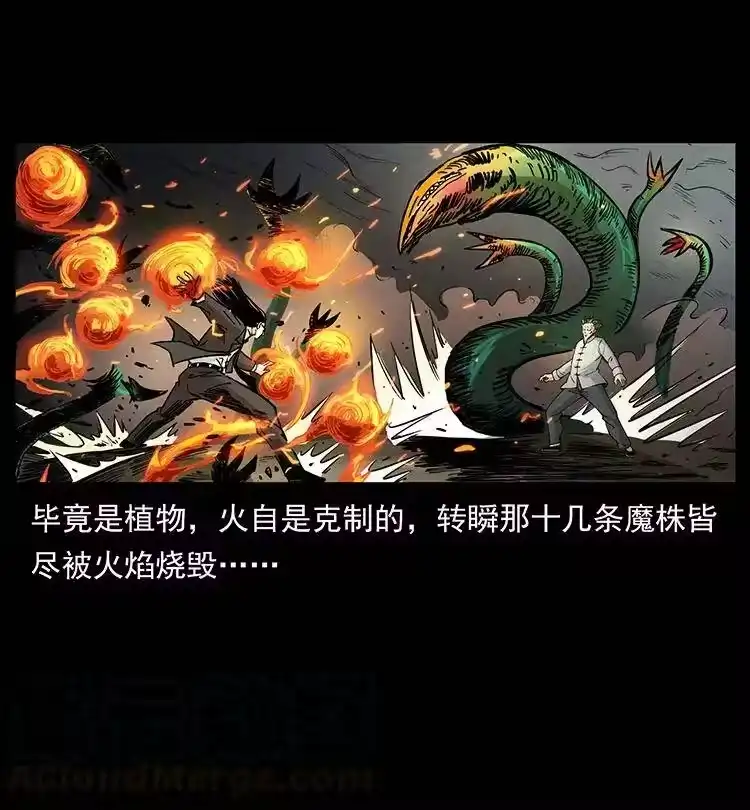 幽冥诡匠_h 390 斩草除根 第31页