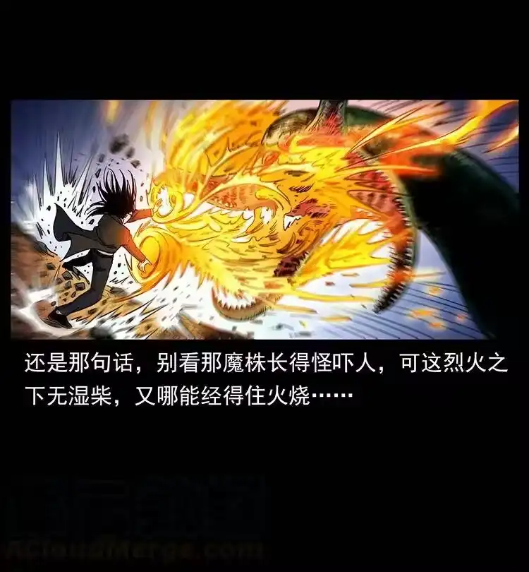 幽冥诡匠_h 390 斩草除根 第49页
