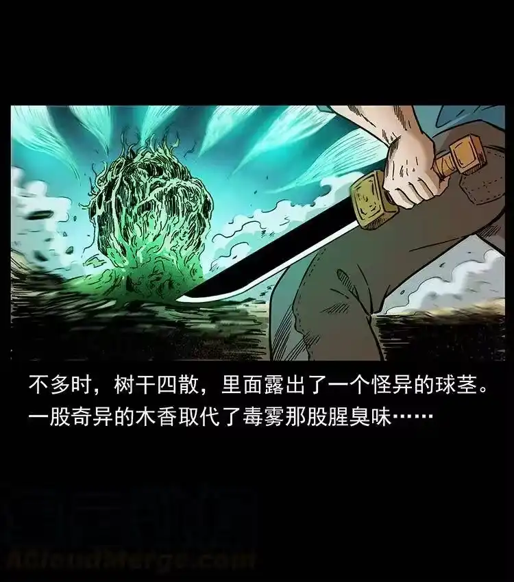 幽冥诡匠_h 390 斩草除根 第76页