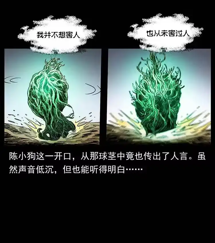 幽冥诡匠_h 390 斩草除根 第78页