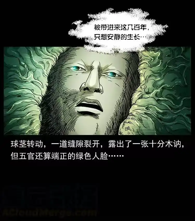 幽冥诡匠_h 390 斩草除根 第79页