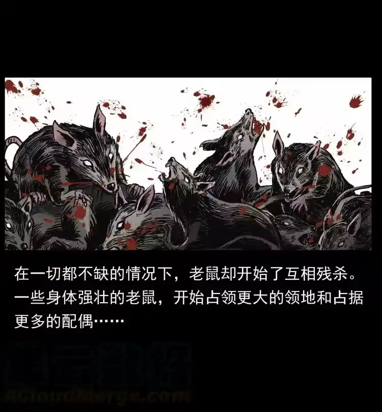 幽冥诡匠_h 394 殇 第46页
