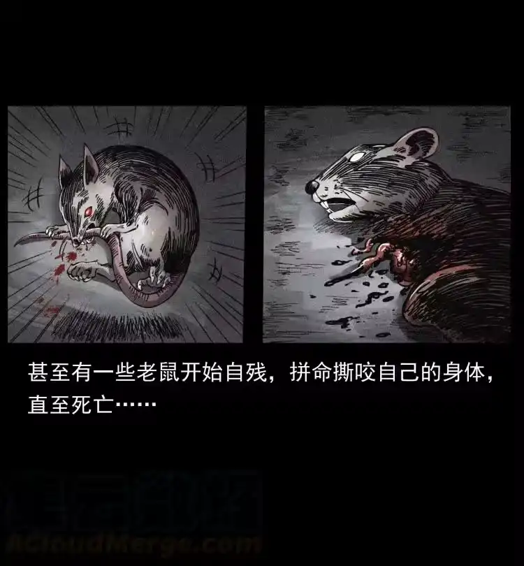 幽冥诡匠_h 394 殇 第49页