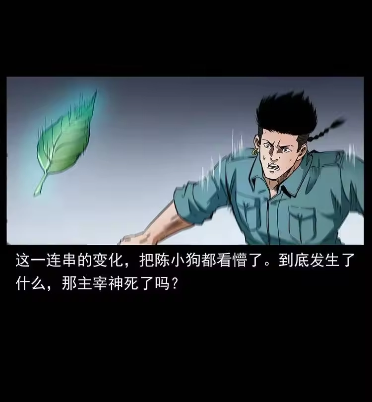 幽冥诡匠_h 400 一花一世界，一叶一菩提 第77页