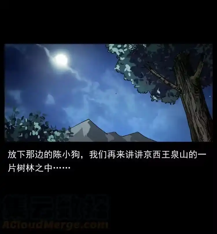 幽冥诡匠_h 408 狙击佟安娜！ 第13页