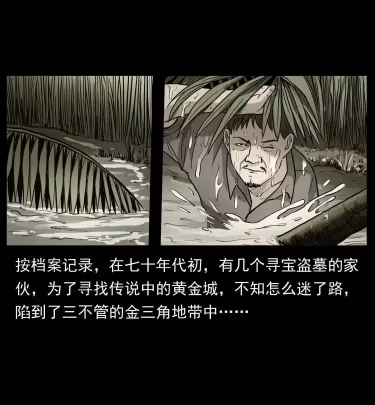幽冥诡匠_h 419 马先生的博物馆 第71页