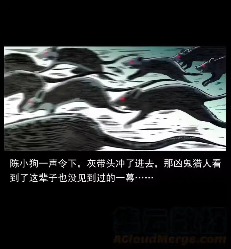 幽冥诡匠_h 437 墓道凶灵 第22页