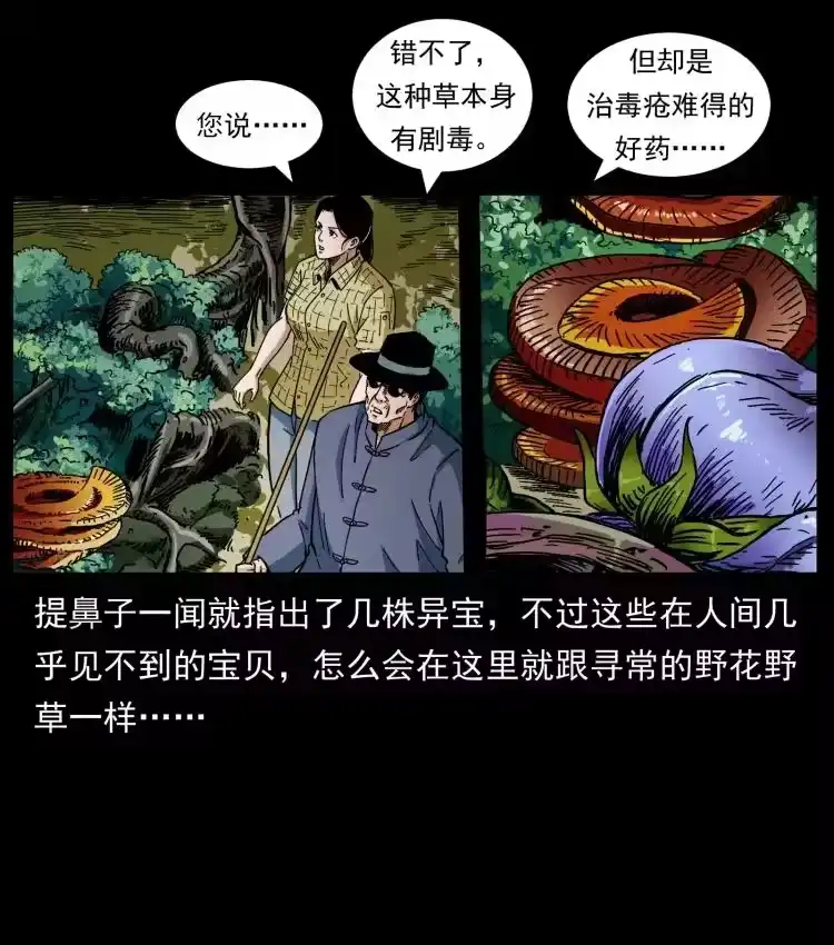 幽冥诡匠_h 441 羽人之境 第11页
