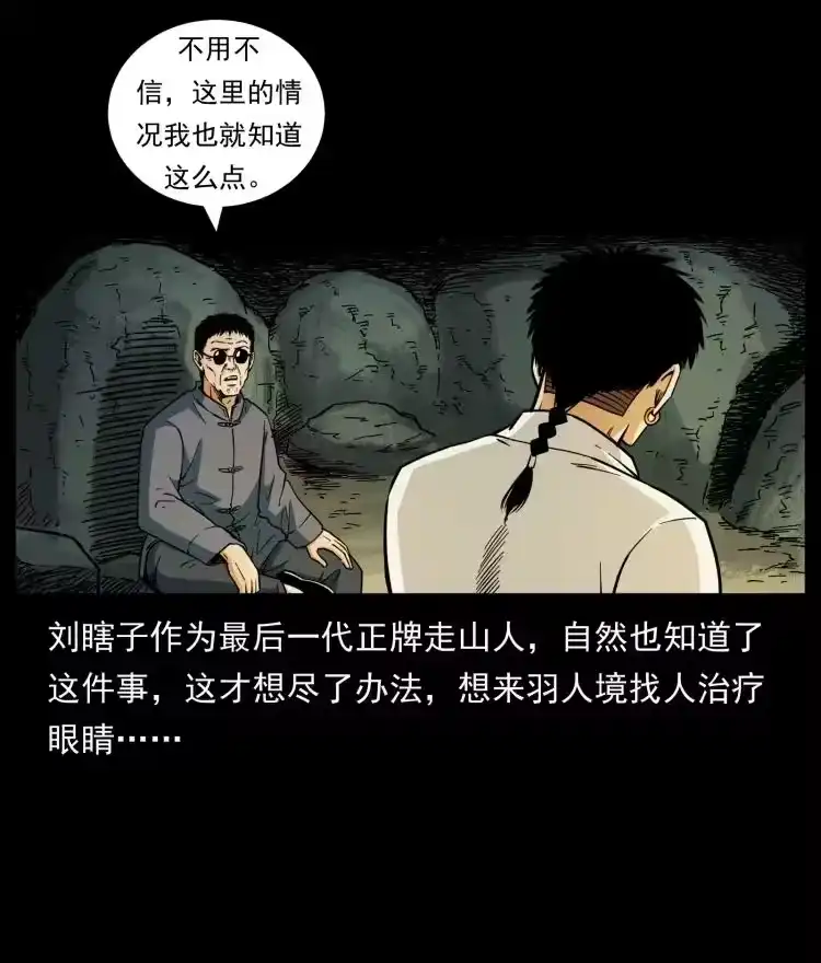 幽冥诡匠_h 441 羽人之境 第29页