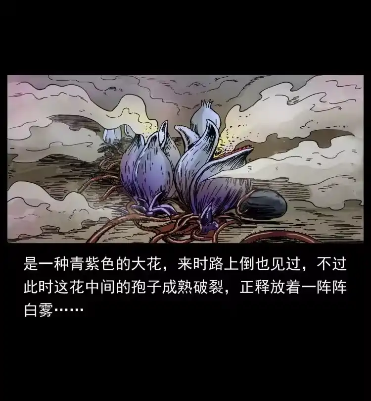 幽冥诡匠_h 441 羽人之境 第61页
