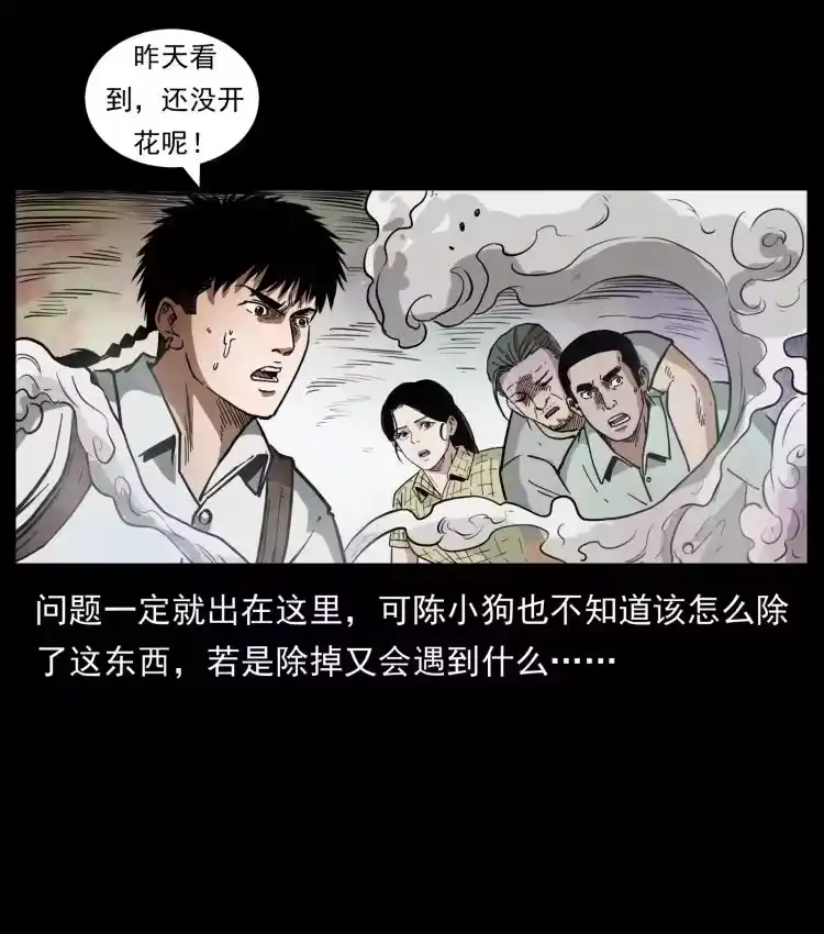 幽冥诡匠_h 441 羽人之境 第62页