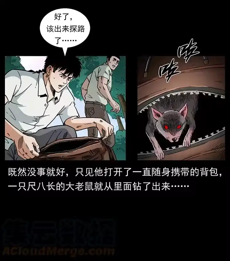 幽冥诡匠_h 442 羽人现身 第16页