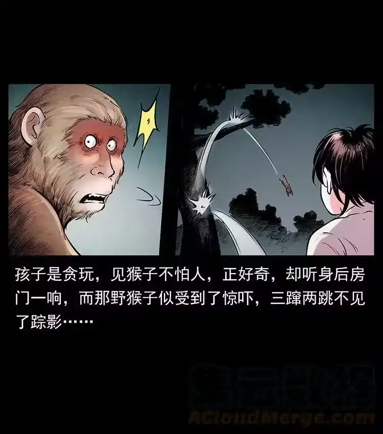幽冥诡匠_h 外传 洛生传1 猎妖 第34页