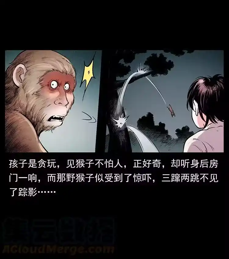 幽冥诡匠_h 洛生传1 猎妖 第34页