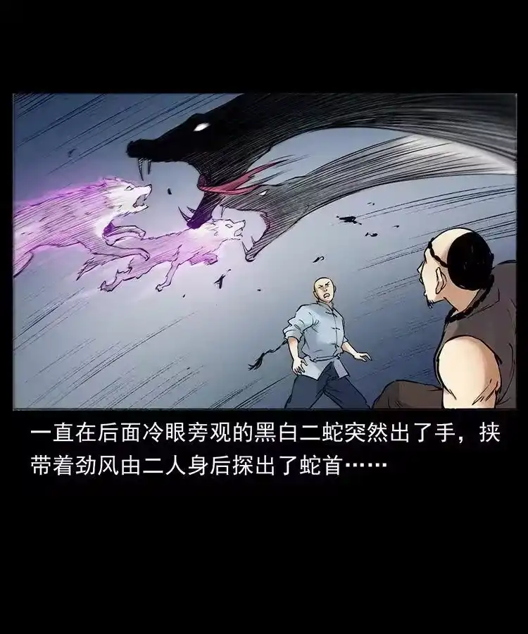 幽冥诡匠_h 外传 洛生传7 黑白双蛇 第69页