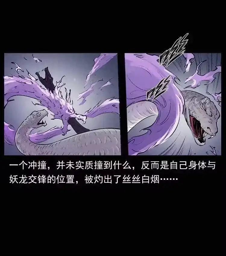 幽冥诡匠_h 外传 洛生传8 封毒 第5页