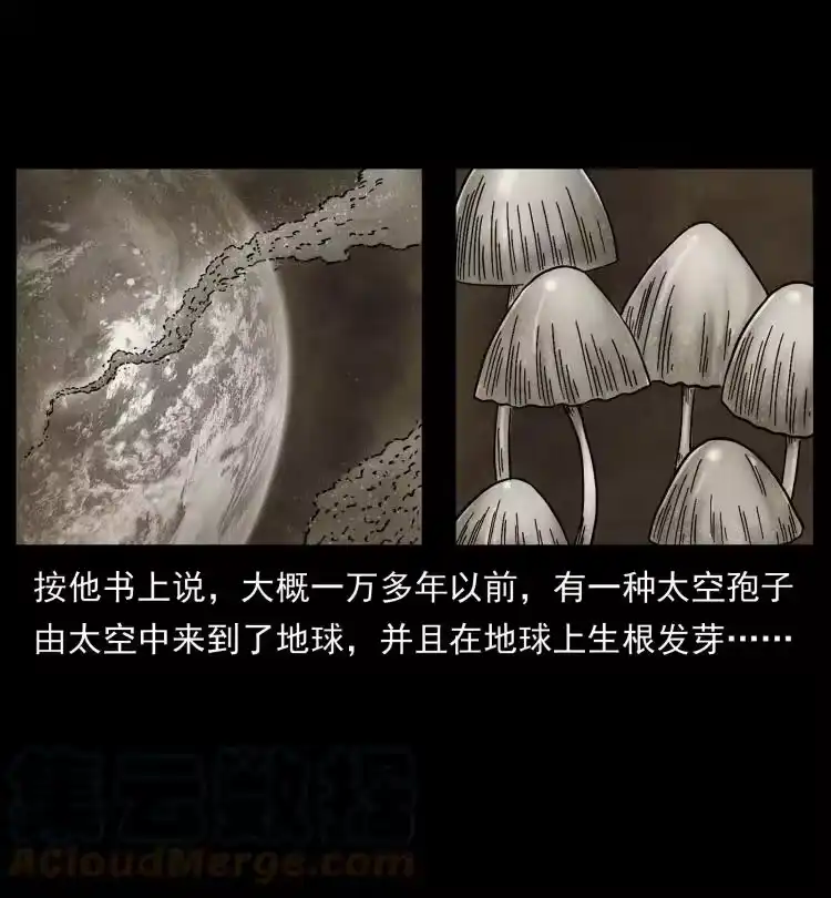 幽冥诡匠_h 460 你才是猴子变的！ 第25页