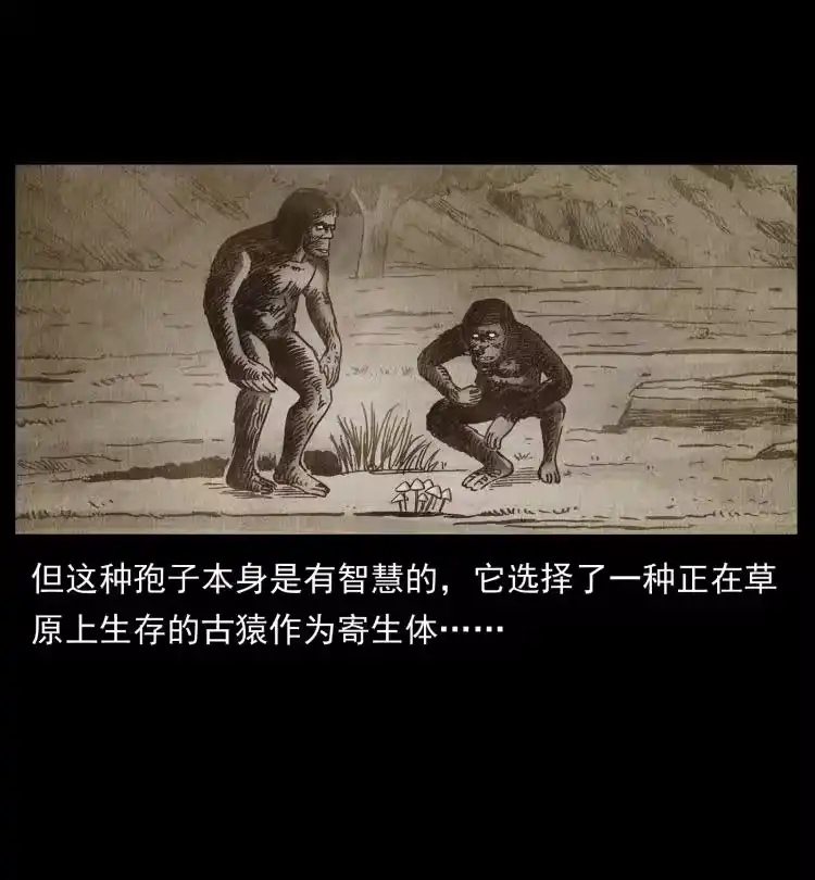 幽冥诡匠_h 460 你才是猴子变的！ 第26页