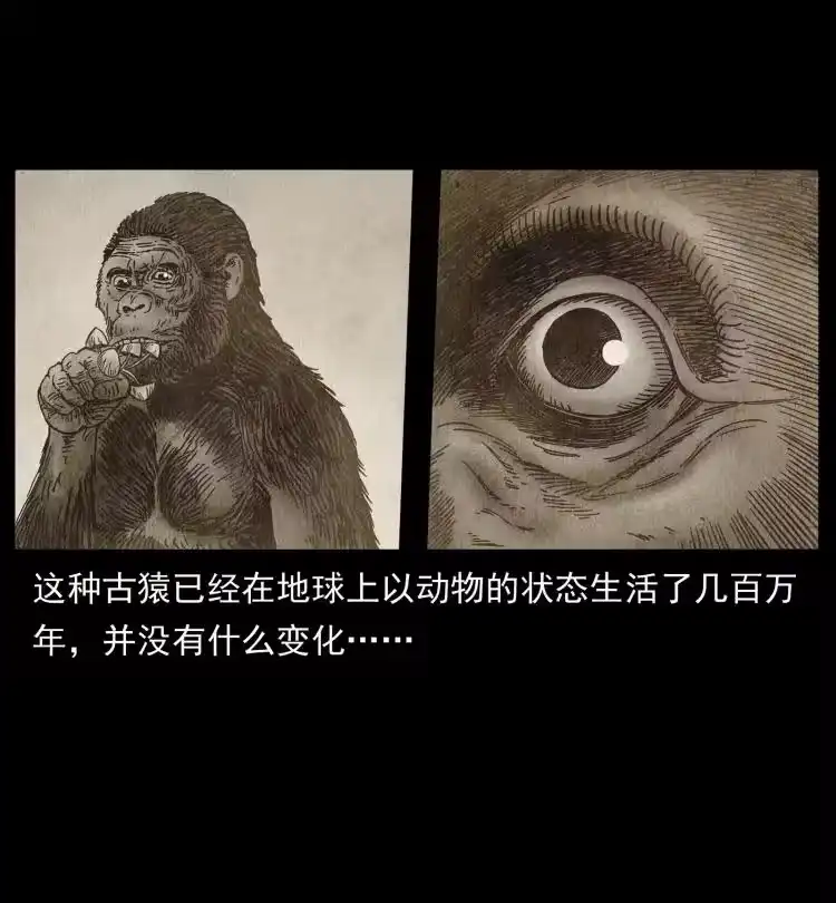 幽冥诡匠_h 460 你才是猴子变的！ 第27页