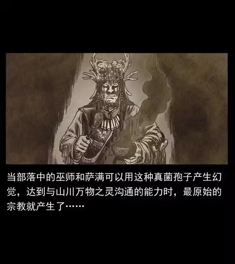 幽冥诡匠_h 460 你才是猴子变的！ 第30页