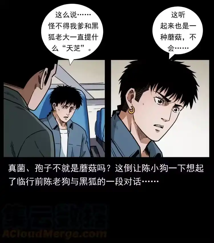 幽冥诡匠_h 460 你才是猴子变的！ 第34页