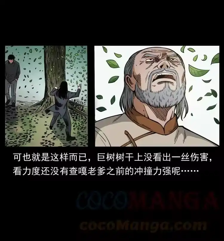 幽冥诡匠_h 466 萨满的世界 第7页