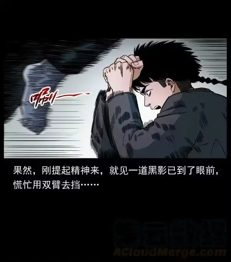 幽冥诡匠_h 467 欢迎进入萨满世界 第13页
