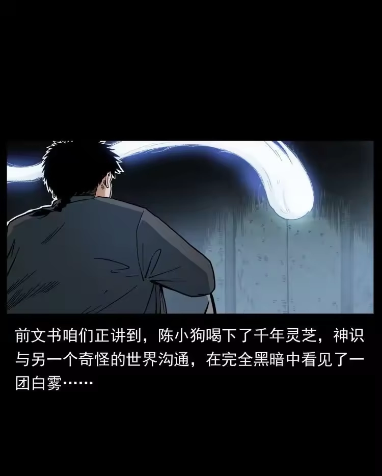 幽冥诡匠_h 467 欢迎进入萨满世界 第2页