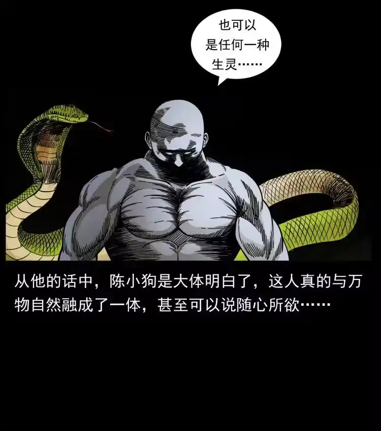 幽冥诡匠_h 467 欢迎进入萨满世界 第42页