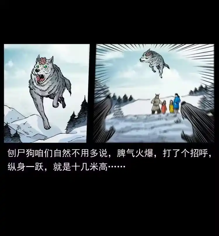 幽冥诡匠_h 469 冻土的世界 第74页