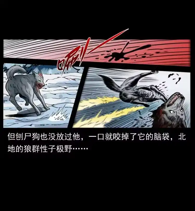 幽冥诡匠_h 469 冻土的世界 第77页