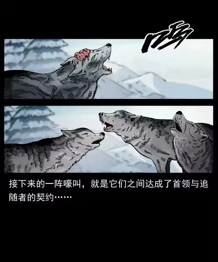 幽冥诡匠_h 469 冻土的世界 第81页