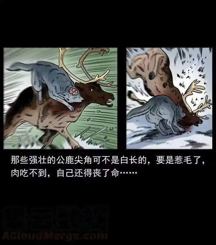 幽冥诡匠_h 470 前辈的足迹 第19页