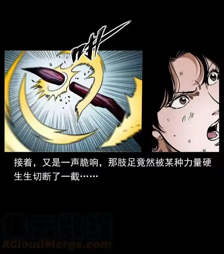 幽冥诡匠_h 478 打够了 第49页
