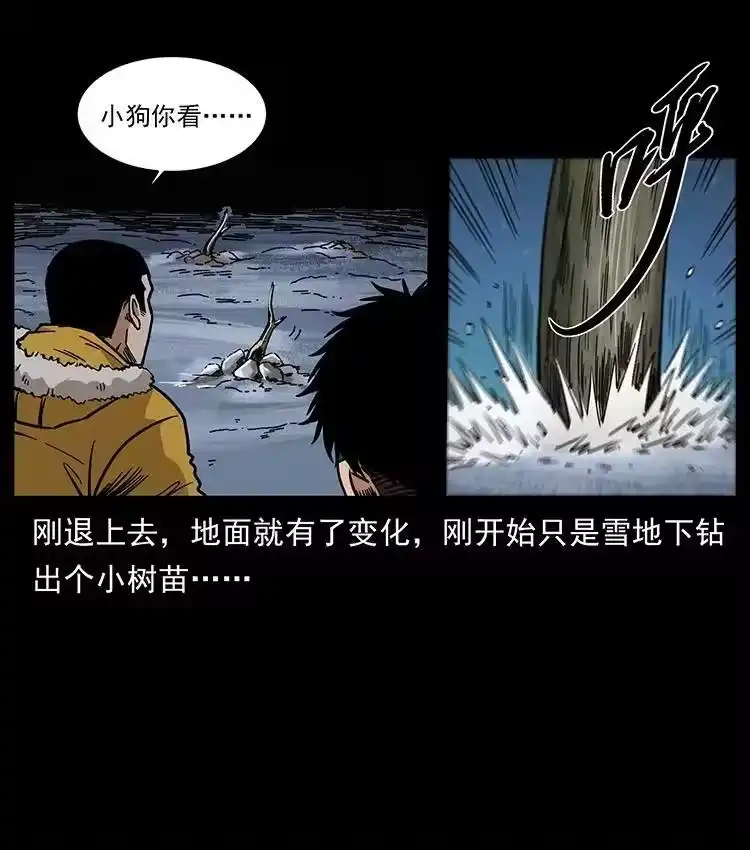 幽冥诡匠_h 480 萨满来了！ 第14页