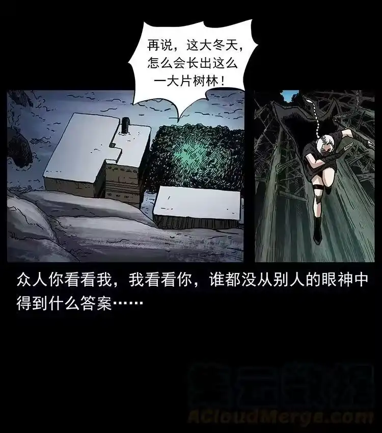 幽冥诡匠_h 480 萨满来了！ 第19页