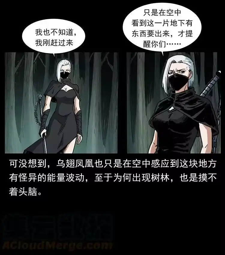 幽冥诡匠_h 480 萨满来了！ 第22页