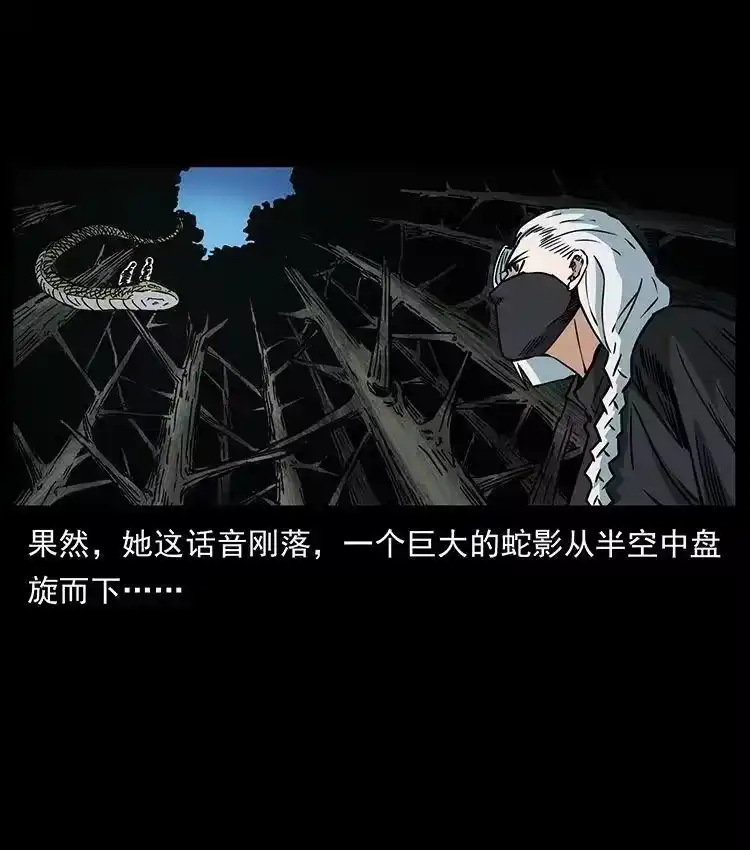 幽冥诡匠_h 480 萨满来了！ 第24页