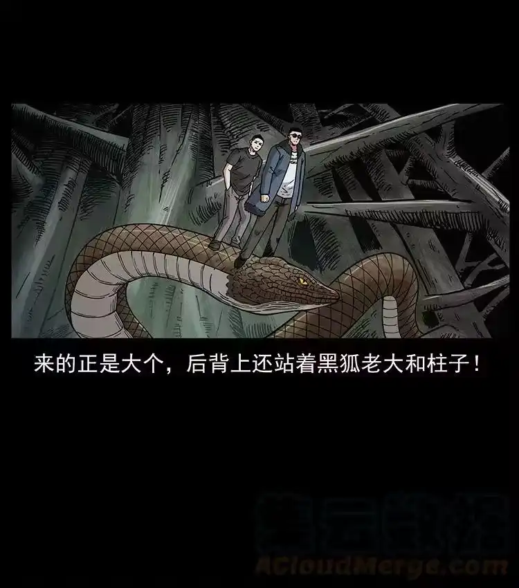 幽冥诡匠_h 480 萨满来了！ 第25页
