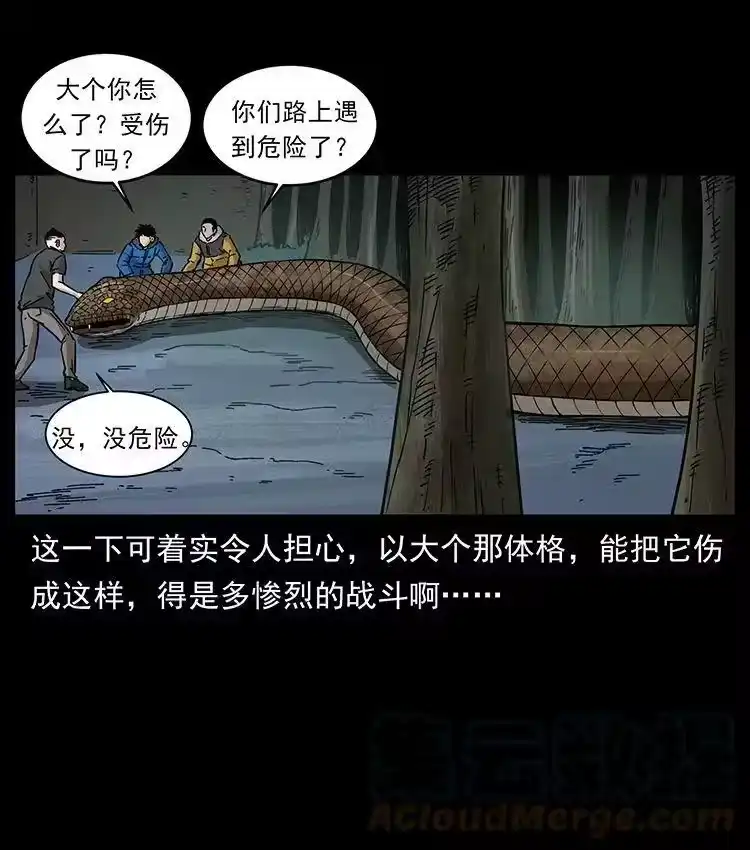 幽冥诡匠_h 480 萨满来了！ 第28页