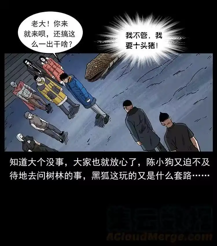 幽冥诡匠_h 480 萨满来了！ 第31页