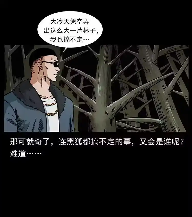 幽冥诡匠_h 480 萨满来了！ 第33页