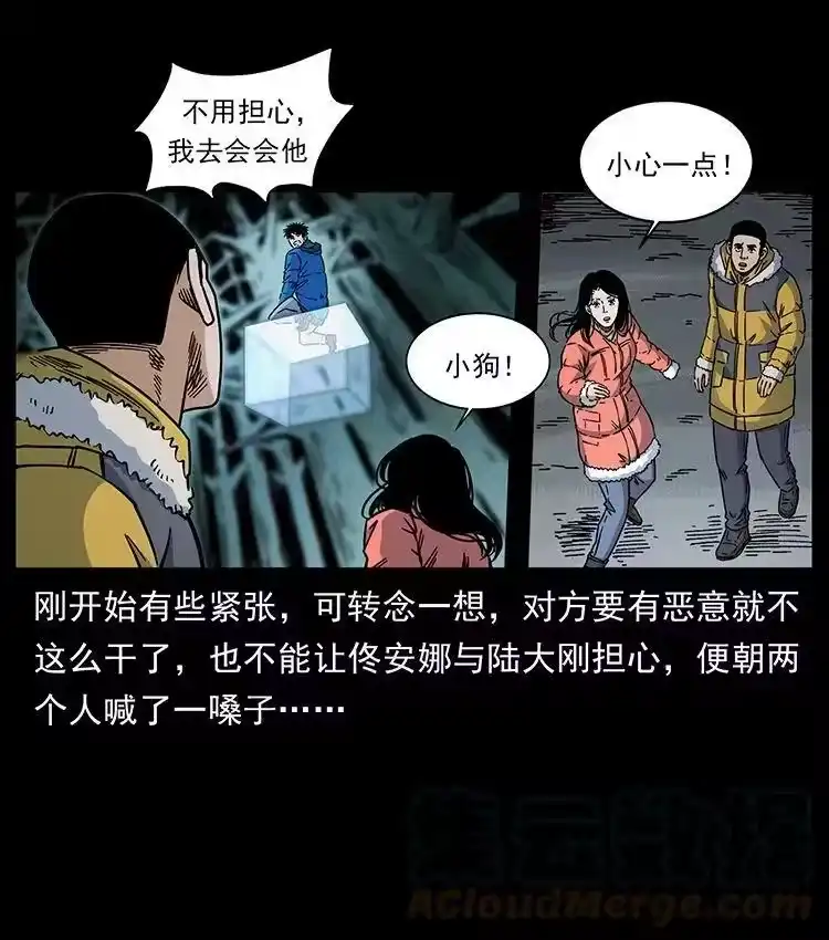 幽冥诡匠_h 480 萨满来了！ 第49页