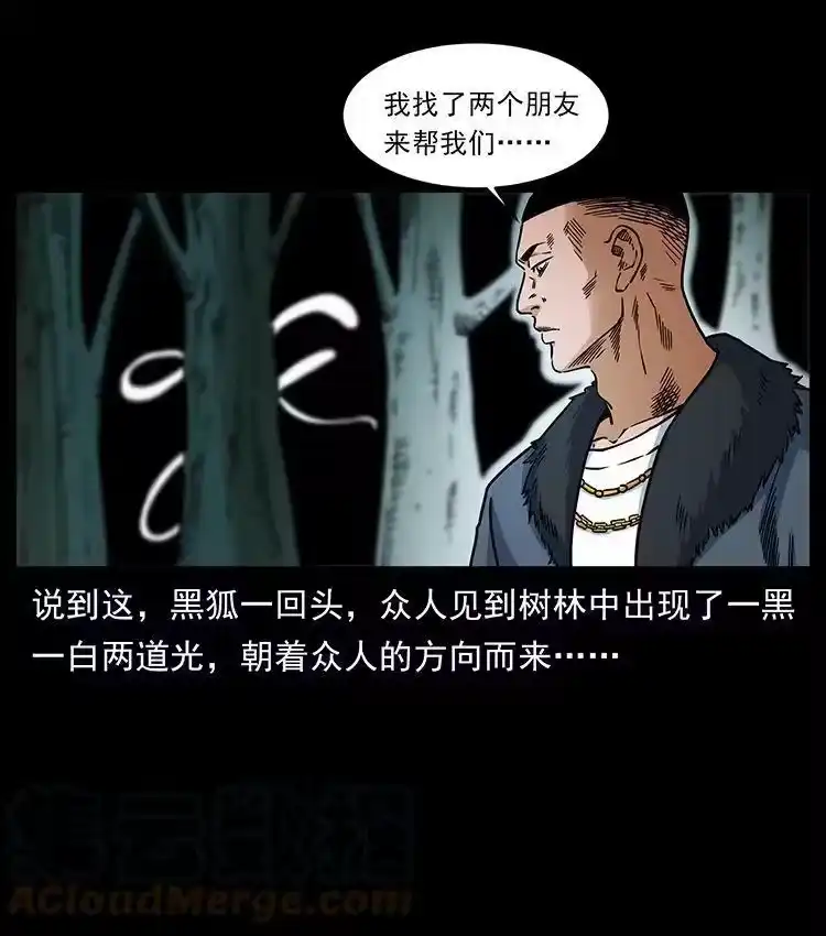 幽冥诡匠_h 480 萨满来了！ 第55页