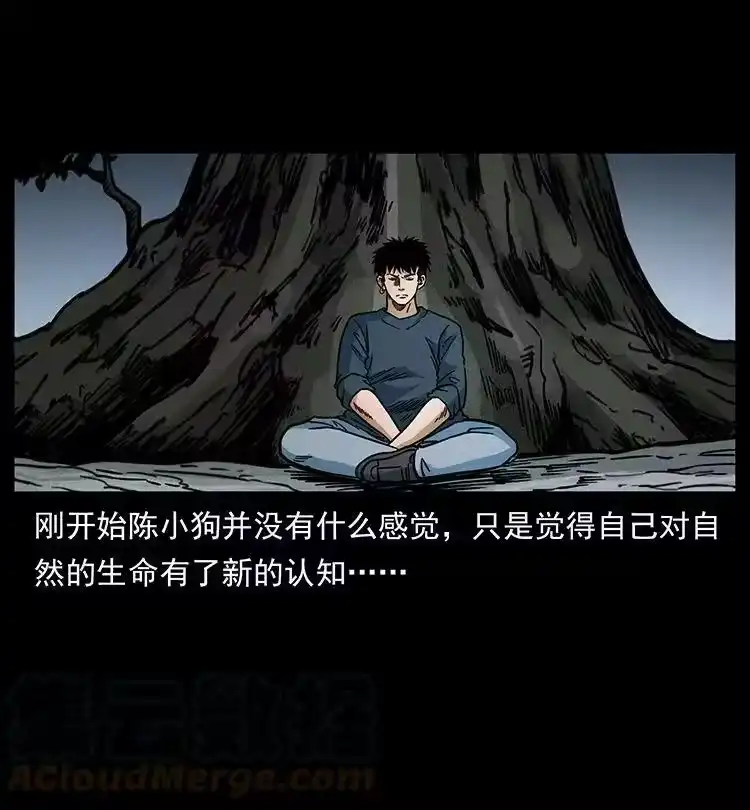 幽冥诡匠_h 482 以树为启点 第61页