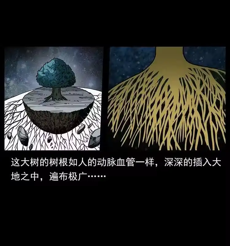 幽冥诡匠_h 482 以树为启点 第74页